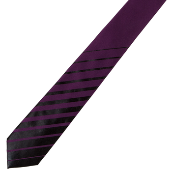 Slim Printed Stripe Silk Tie