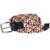 Multi-Coloured Elastic Webbing Belt