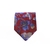 Limited Edition Bari Floral Silk Tie