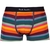 5 Pack Artists Stripe & Colour Band Trunks